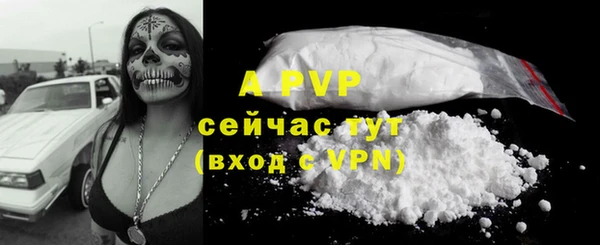 соль ск Алексин