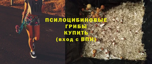 соль ск Алексин