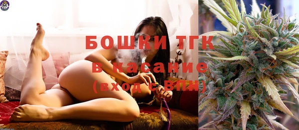 соль ск Алексин