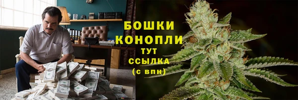 соль ск Алексин