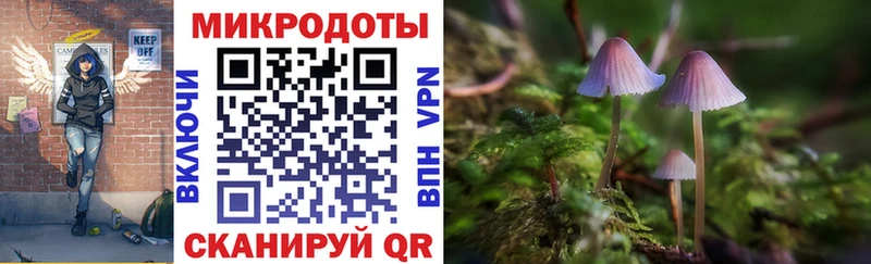 hydra как войти  дарнет шоп  shop какой сайт  Галлюциногенные грибы Magic Shrooms  Заинск 