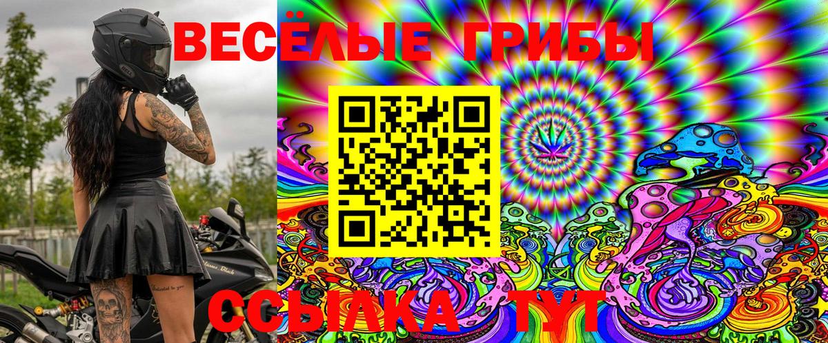 Псилоцибиновые грибы MAGIC MUSHROOMS Заинск
