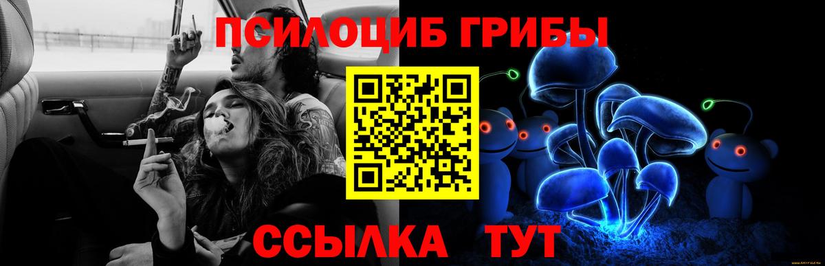 Псилоцибиновые грибы мухоморы  Вход с VPN  Заинск 